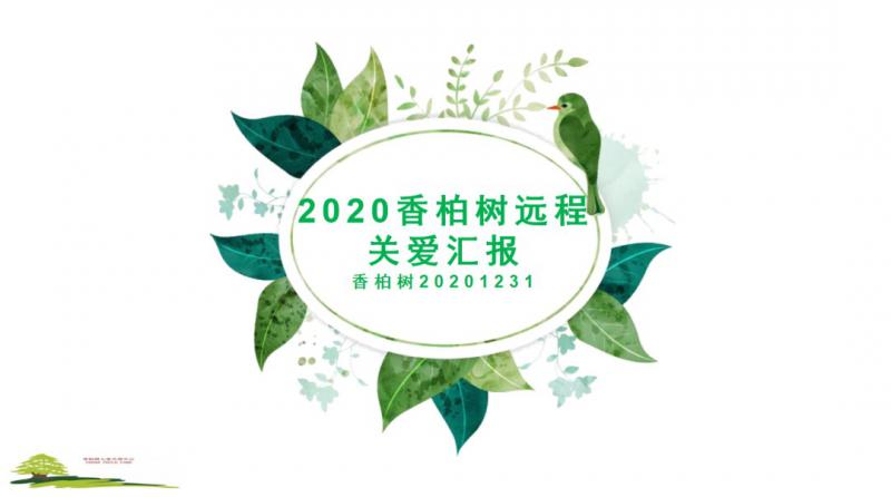 千山万水，揽你入怀--2020远程的香柏树