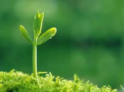 “生命绿茵·少儿大病救助”项目介绍及救助名单公示2020