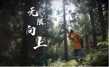 泛病种综合援助计划