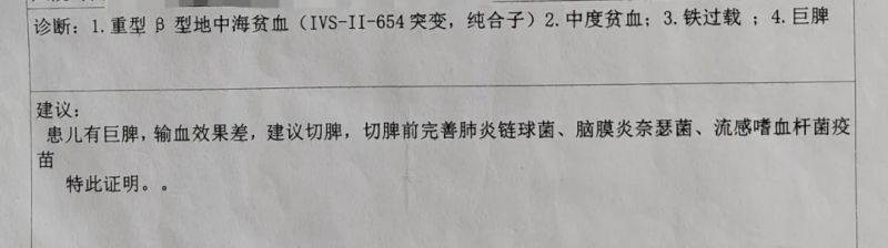 地贫患者故事 | 移植出仓后，小峰已经开学2个月